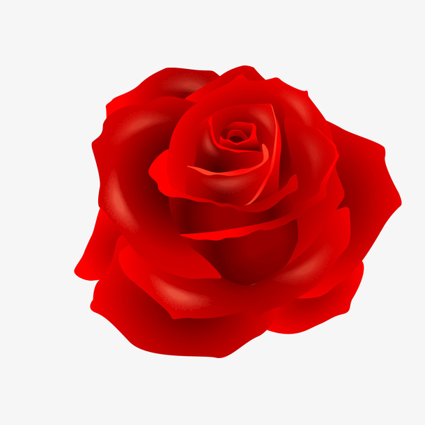 鲜艳的红花素材免费下载_觅元素