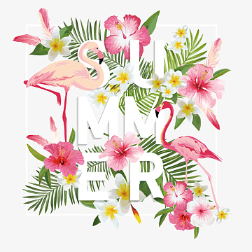 绘画单素材_绘画单图片元素-觅元素