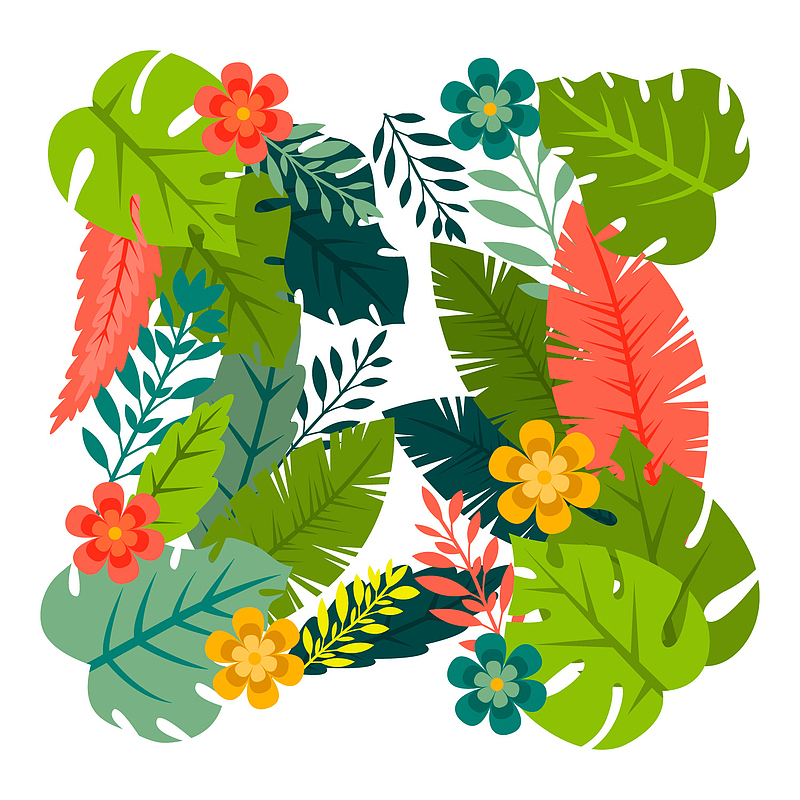 彩色夏季棕榈树叶和花卉框架矢量