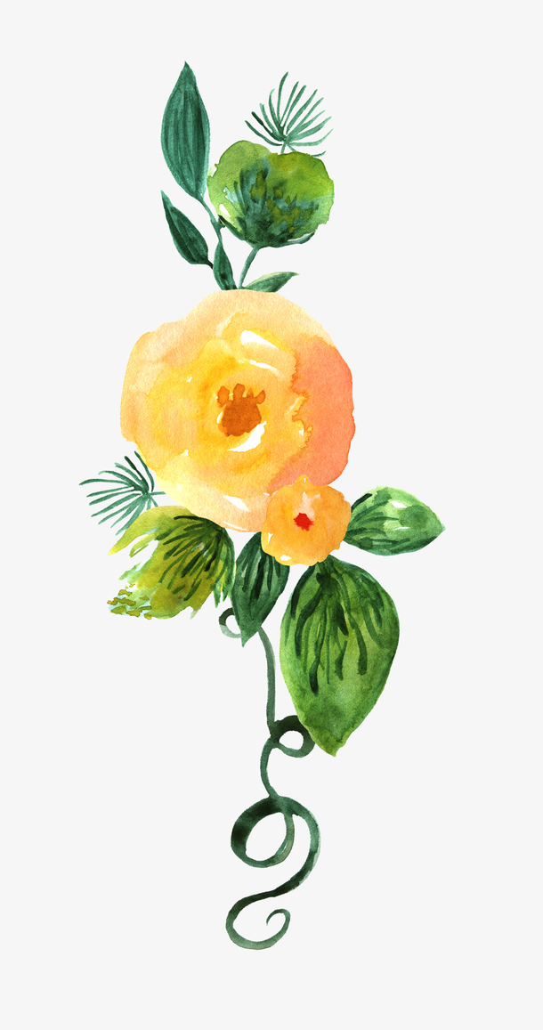 手绘水彩花卉装饰图案