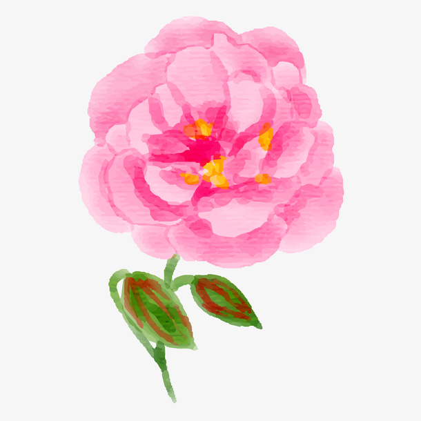 关键词 : 红色花朵,矢量图,背景装饰,月季花,卡通植物,水彩花卉[声明]