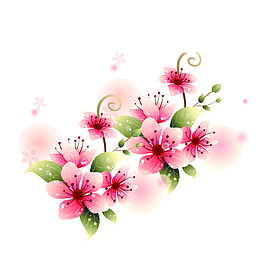 粉色花朵