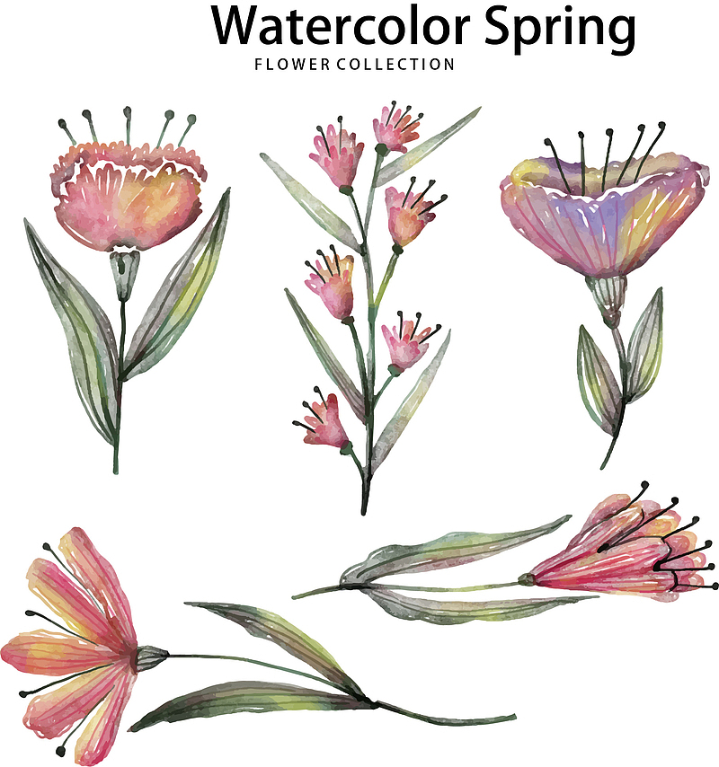 5款水彩绘春季花卉矢量素材