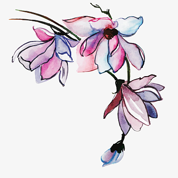 中国风水彩栀子花卡通手绘