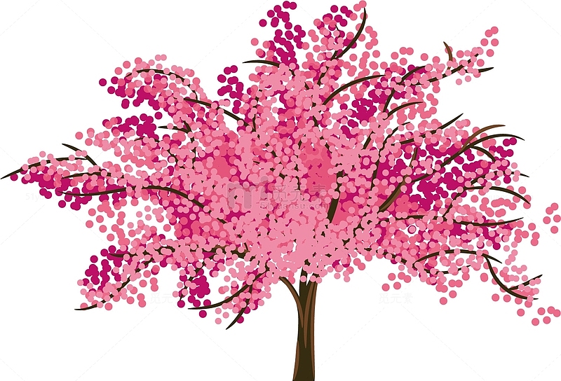 矢量图美丽樱花树