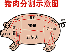 手绘猪肉分割标注图透明png