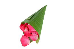 蓝竹叶里的粉色花瓣