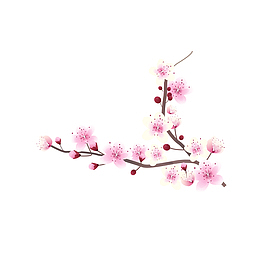 矢量卡通唯美腊梅花枝