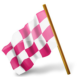 chequered flag图标