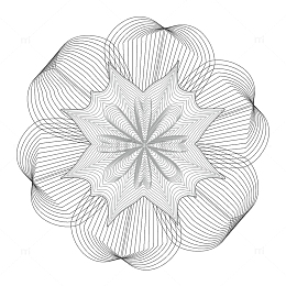 防伪花纹