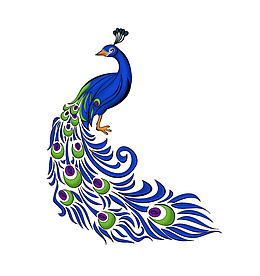 蓝色的孔雀