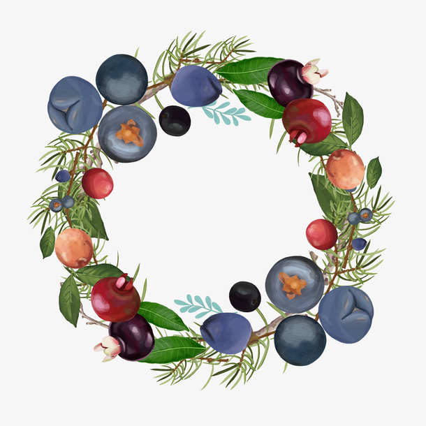 关键词 : 李子,彩色,手绘,水果,矢量图,装饰,png装饰,png图形[声明]