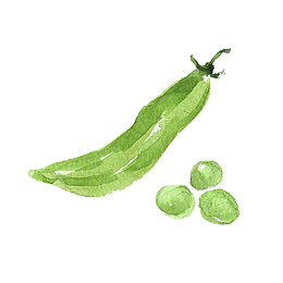 绿色的豆角