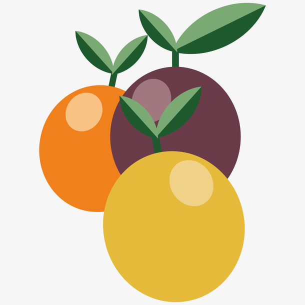 卡通橘色橙色黄色绿叶百香果矢量