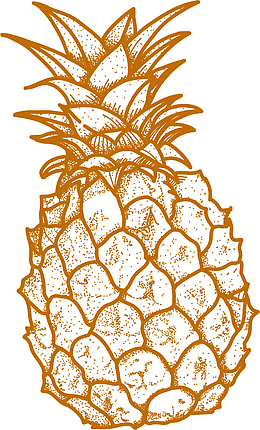 夏季手绘棕色菠萝