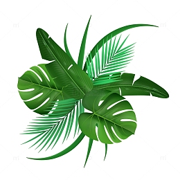 矢量夏日绿叶下载