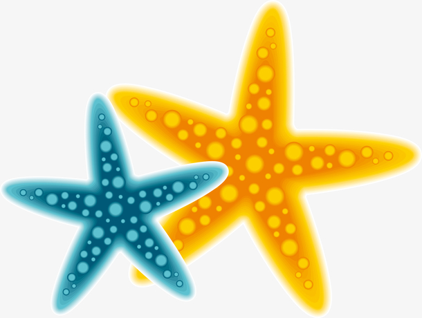 卡通夏日海星