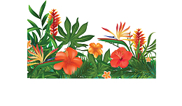 夏日红色花朵花丛