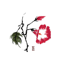 水墨红色牵牛花