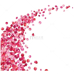 唯美线条装饰花瓣