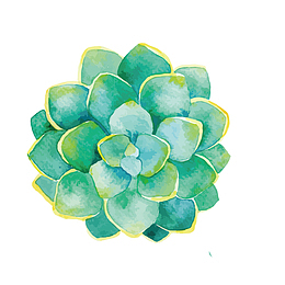 淡青色的多肉矢量植物