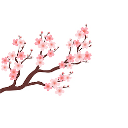 矢量唯美卡通盛开腊梅