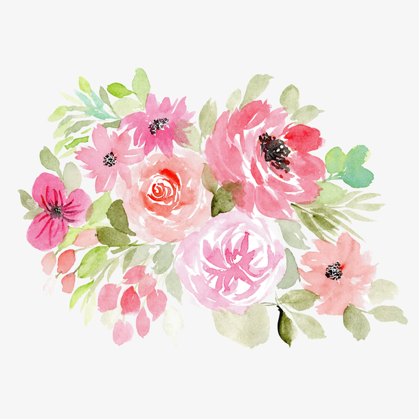 月季花唯美油彩水彩中国风矢量图