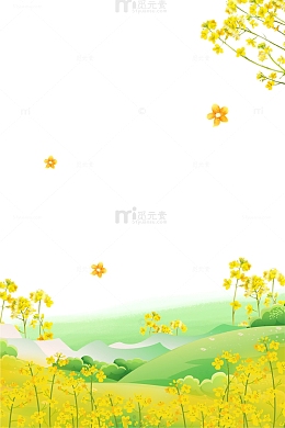 金黄色清新唯美油菜花背景免抠