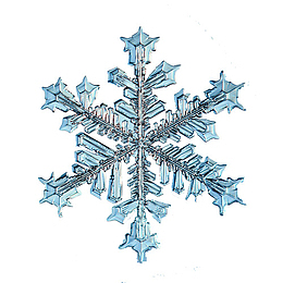 漂亮的雪花