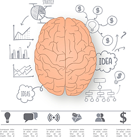 矢量手绘大脑图表数据