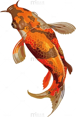 中国风彩绘日本锦鲤卡通矢量图