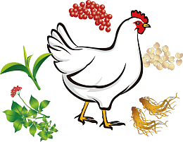 卡通草药配土鸡设计