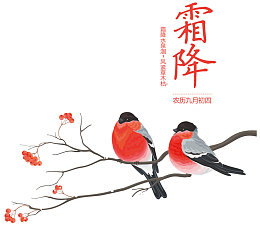 手绘矢量小鸟