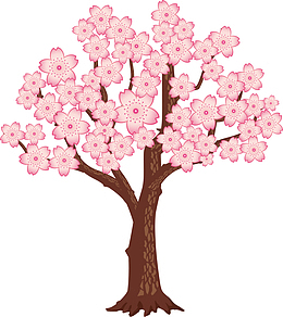 粉色美丽春季花树