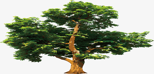 手绘大树 矢量老树