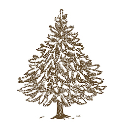 手绘线描风格大树松树