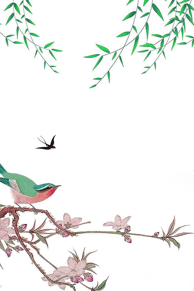 春季鸟语花香主题边框