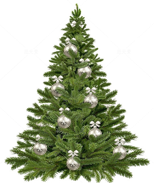 圣诞节树木元素