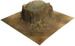 树木古榕树木桩贴图模型