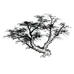 黑白手绘古树