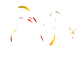 橙色杂花瓣