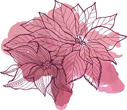 粉红色水彩花纹
