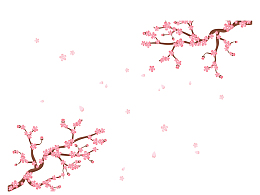 飞舞的粉红樱花花纹