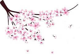 精美粉红浪漫樱花