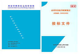 标书图片
