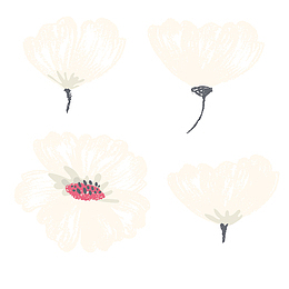 粉色花苞唯美手绘