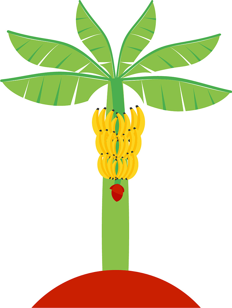黄色香蕉卡通风格香蕉树