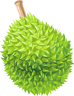 卡通完整榴莲