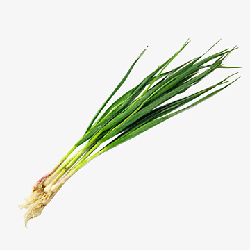 新蒜素材_新蒜图片元素-觅元素