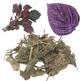 紫苏叶药材